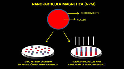 Tejidos magnéticos inteligentes en terapias regenerativas