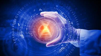 Knochenregeneration per Gen-Plaster