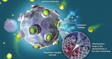 O klorheksidinu