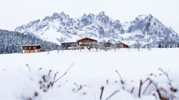 29. Wintersymposium 2020