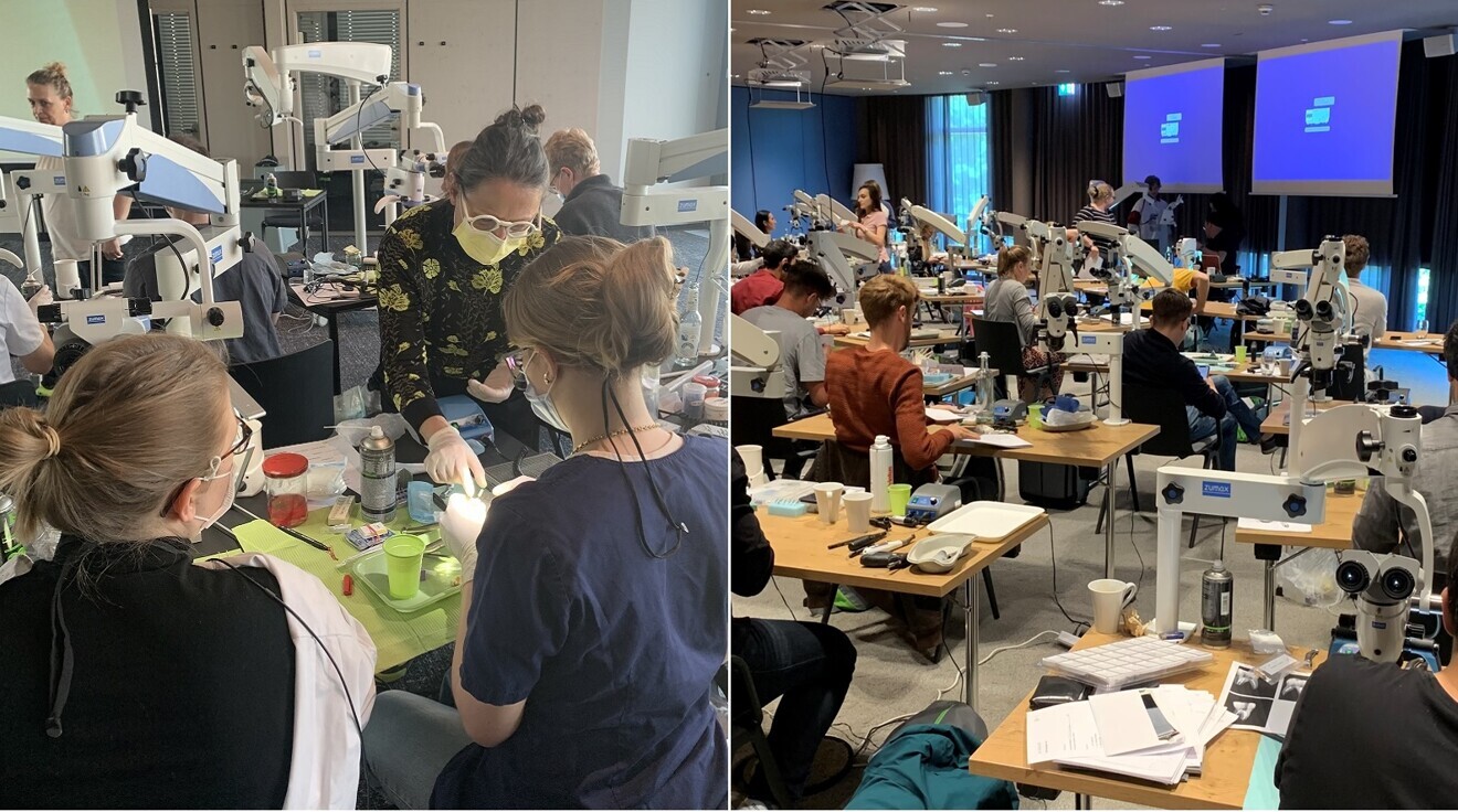 Learning in small groups: the TEC2 endodontics curriculum focuses on practical training in a personal environment.  (Images: Dr Sabine Remensberger) 