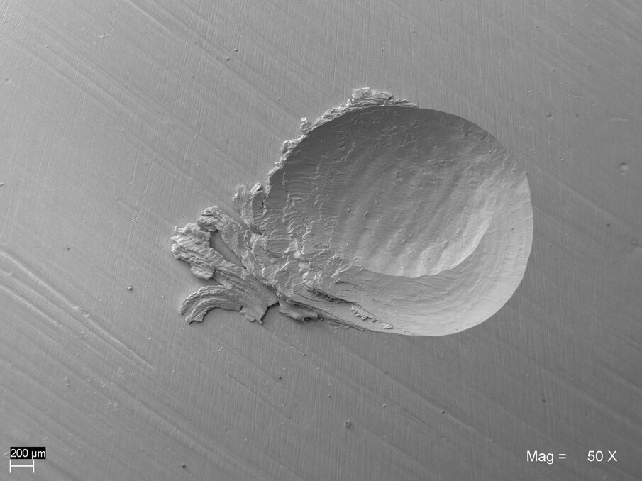 Figg. 11a, 11b_Superfici di usura dopo 120.000 cicli di usura “two body” in chewing simulator a due assi (Università di Chieti - Prof. Camillo D’Arcangelo). Immagini al SEM 50x. L’abrasione di Enamel Plus HRi Bio Function è simile a quella dell’oro e quindi a quella dello smalto naturale. 