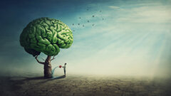 New studies link oral health to cerebrovascular health