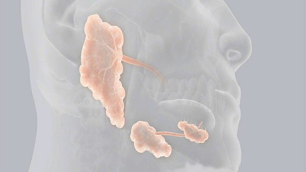 “Patologia Salivar e Medicina Dentária” em debate