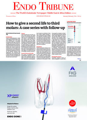 Endo Tribune Middle East & Africa No. 1, 2019