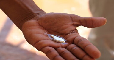 Global mercury treaty to be put into force