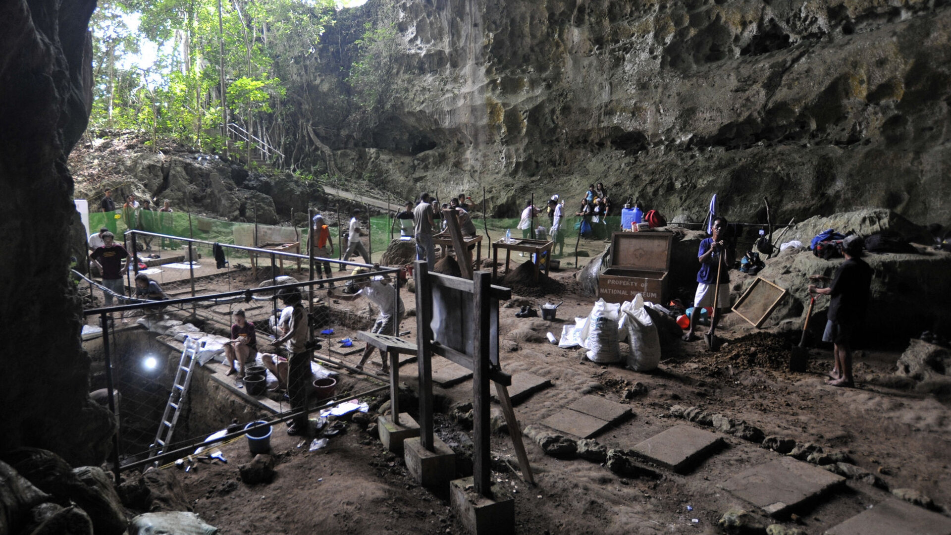 Entretien avec le paléothropologue Clément Zanolli sur la découverte d'une nouvelle espèce humaine