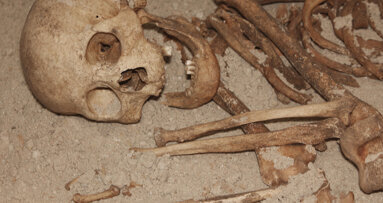 Dental calculus indicates plant consumption in Neanderthal diet