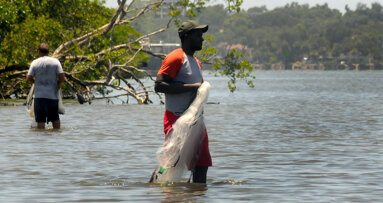 La hora de tomar decisiones