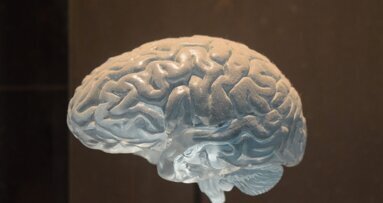 Mózg to mięsień szczęścia