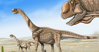 Tanden geven uitsluitsel lichaamstemperatuur dinosaurus
