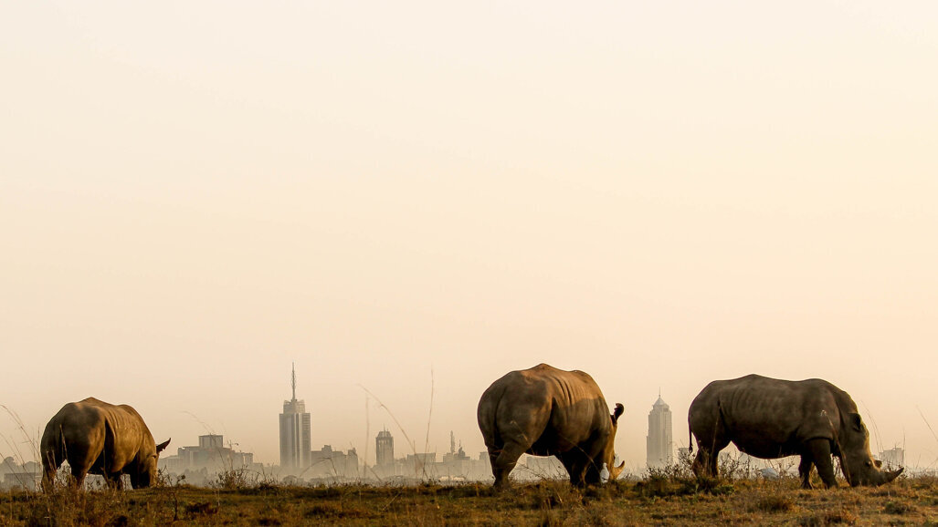 MedHealth Kenya 2018 - 11th International Trade Exhibition