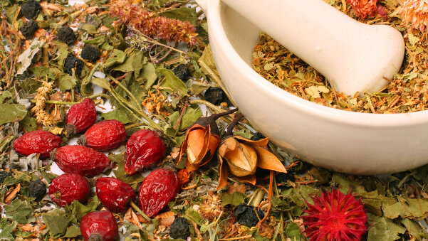 Fortbildung zur ganzheitlichen Zahnheilkunde