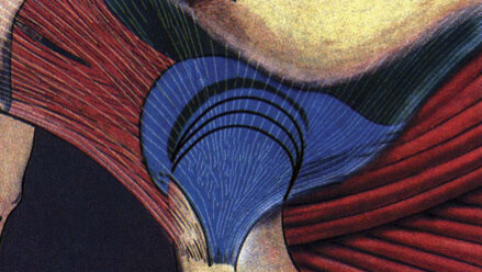 Tratamiento Craneofacial Miofuncional Postural Clase II con Activador Elástico Klammt II