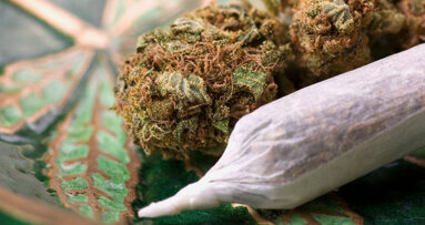 Long-term cannabis use linked to periodontal disease