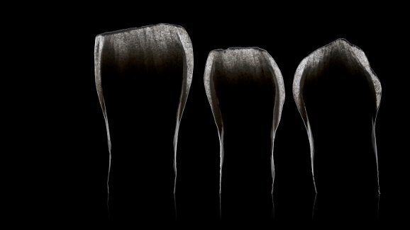 Наближава следващото издание на Bio-Emulation Colloquium