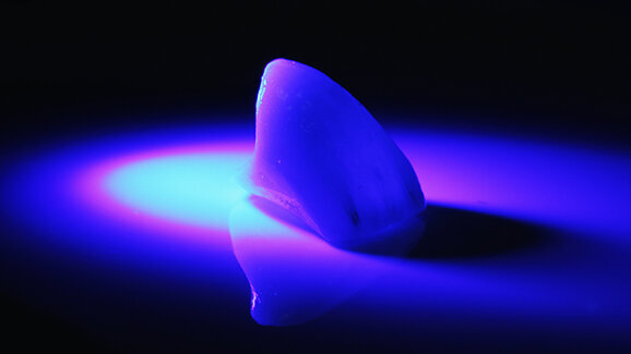 Първият конгрес на Българското дружество по медицинска фотография ще се проведе през април