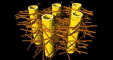 Dentes fortes: Pesquisadores descobrem estrutura interna da dentina