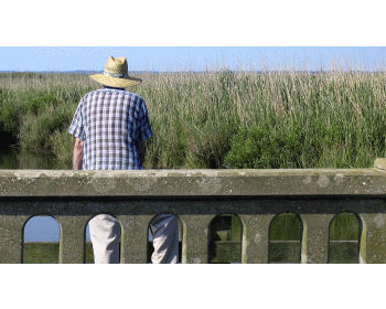 Retraite ou pas retraite ?