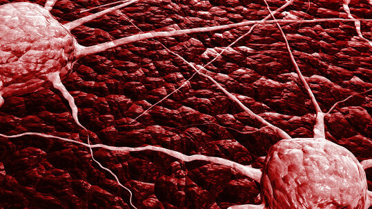 Forscher spüren wandernde Krebszellen auf