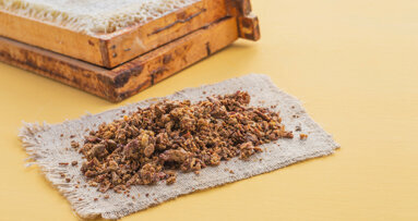 Zinc oxide and propolis mixture shows promising results