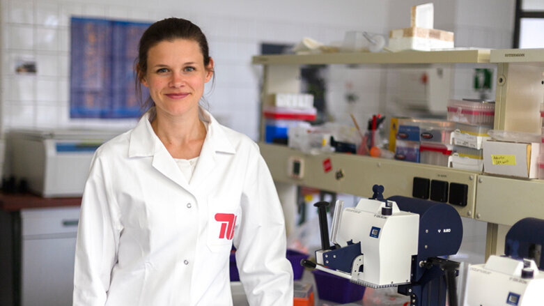 Nachwachsende dritte Zähne könnten bald Realität werden