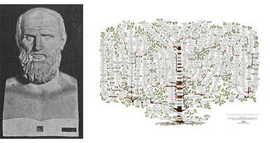 Geschenktipp: Buch über Stammbaum der Medizin