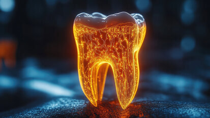 Die Notbremse im Mund: Nervenzellen schützen vor Zahnschäden