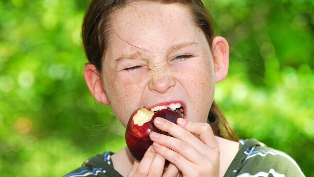 Eiweiße für Selbstheilung des Zahnschmelzes verantwortlich