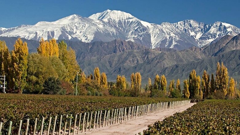 Docente en innovación