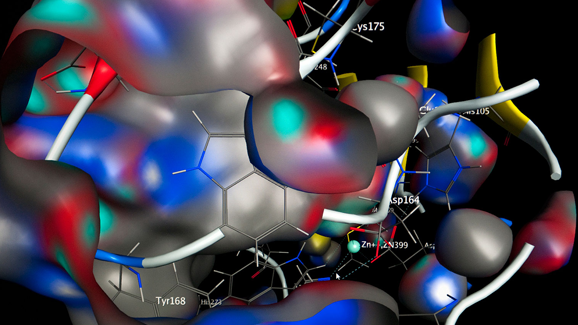 Kampf gegen Parodontose-Erreger
