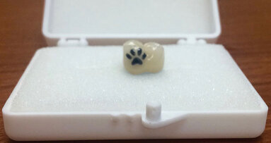 PAW’s ‘tatooth’: Buccal aspect adventure connects hygienist with lab tech