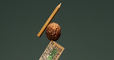 El imposible laberinto de la homologación