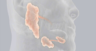 “Patologia Salivar e Medicina Dentária” em debate