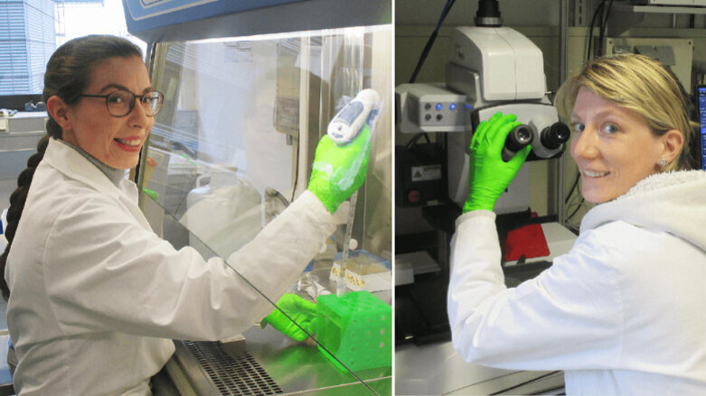 Potsdamer Biomaterialien für Zahnmediziner der Charité