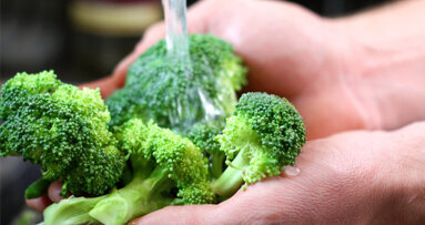 Brokkoli stark gegen Krebs im Kopf-Hals-Bereich