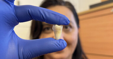 New study offers advances in laboratory-grown teeth