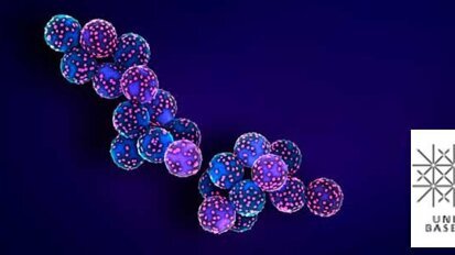 Forscher: Viren-Scan mit Nanotech-Methode Forscher: Viren-Scan mit Nanotech-Methode