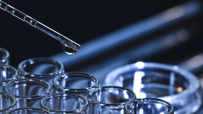 Appel à candidature pour les Prix IRPF-Phytochemical Society of Europe 2018