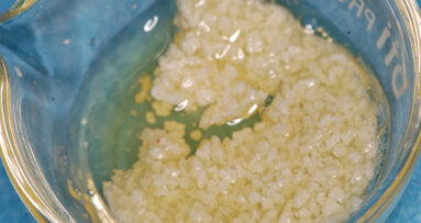 Fattori di crescita, cellule staminali e derivati piastrinici nella rigenerazione ossea