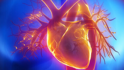 Bei Parodontose-Behandlung droht Gefahr fürs Herz