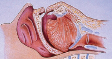 Chrápání a obstrukční spánkové apnoe. Jak mohou nepříznivě ovlivňovat vztahy a zdraví