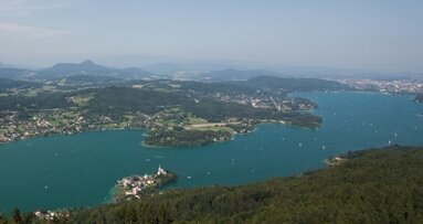 Implantologie im Fokus