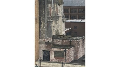 Column Casper P. Bots: Zie de boom op je dak