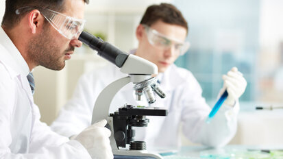 Wissenschaftler erforschen Züchtung künstlicher Zähne Wissenschaftler erforschen Züchtung künstlicher Zähne