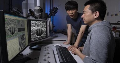 Aplicação de campo elétrico durante formação aumenta a plasticidade da cerâmica dental