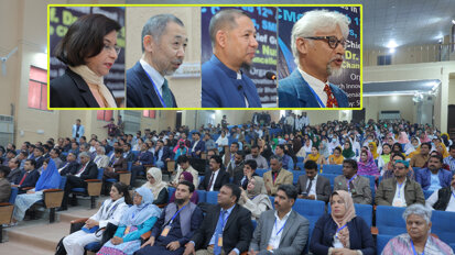 Japanese expert says strawberries can help manage diabetes