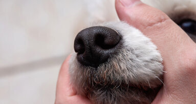 Environmental Protection Agency takes steps to reduce animal testing