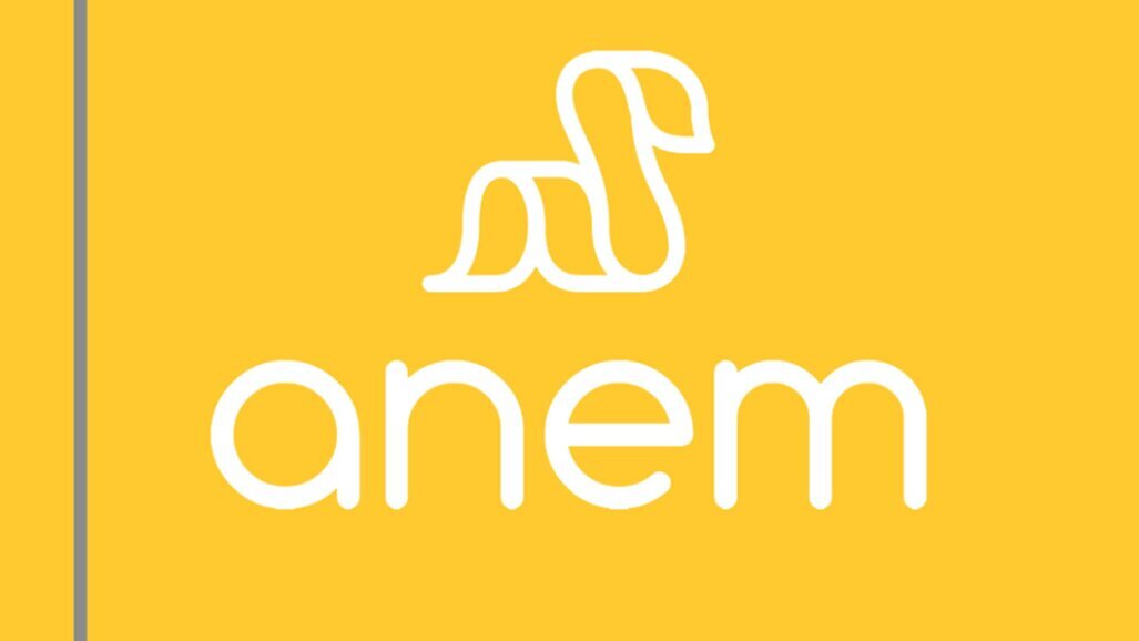 ANEM defende Ensino Superior acessível e reforço da ação social