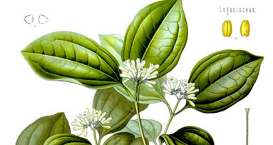 Drainage anesthésique au cabinet dentaire: mode d’emploi clinique